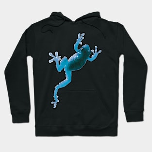 Blue Frog Climbing Hoodie